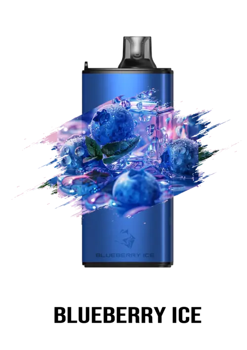 BLUEBERRY ICE - GUNNPOD EVO 15,000