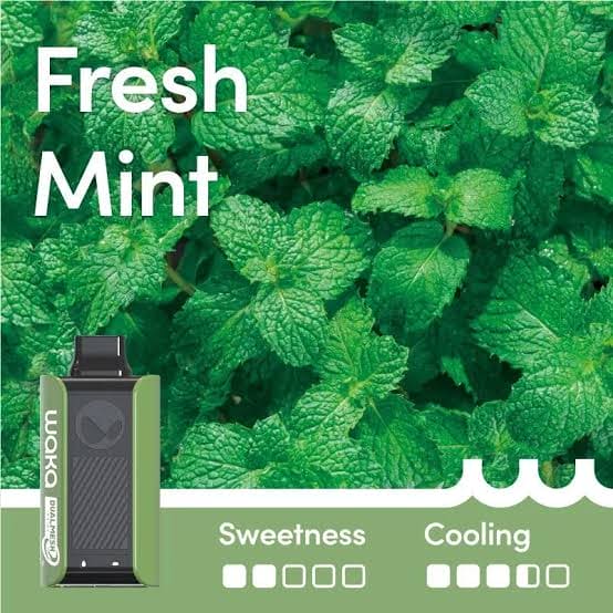 FRESH MINT - WAKA SOPRO (10,000 PUFF)