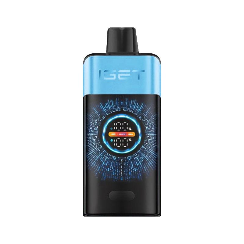 BLUEBERRY ICE - IGET ONE 12,000