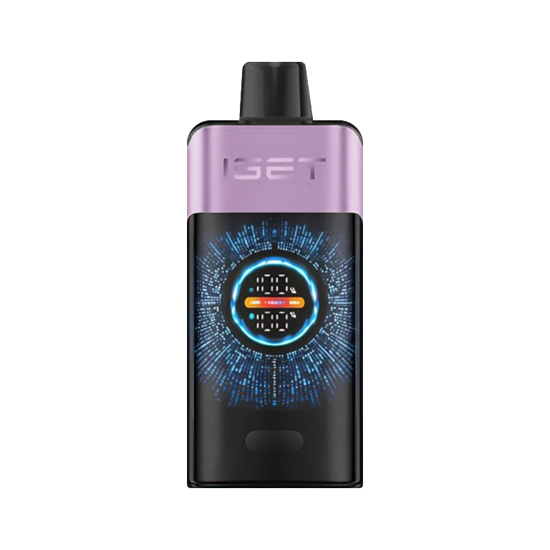 MIXED BERRIES ICE - IGET ONE 12,000