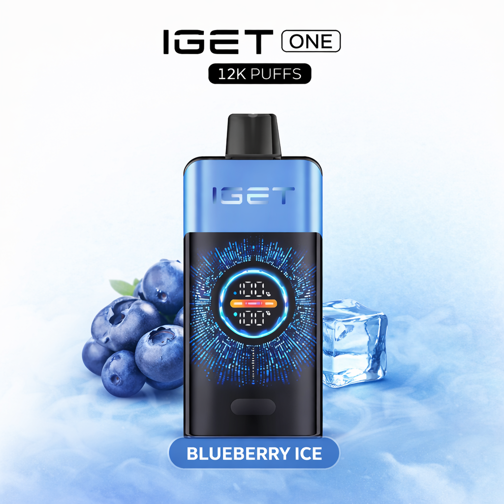 BLUEBERRY ICE - IGET ONE 12,000