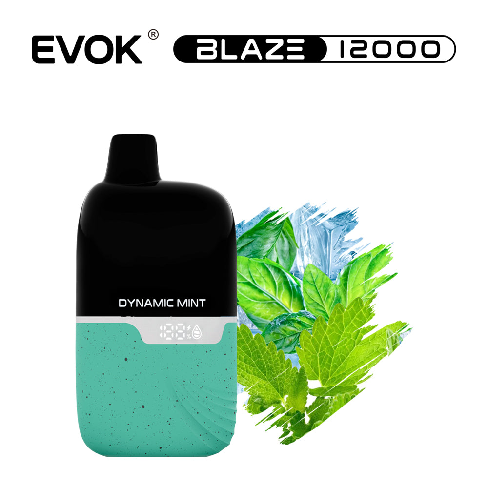 DYNAMIC MINT - EVOK BLAZE 12,000