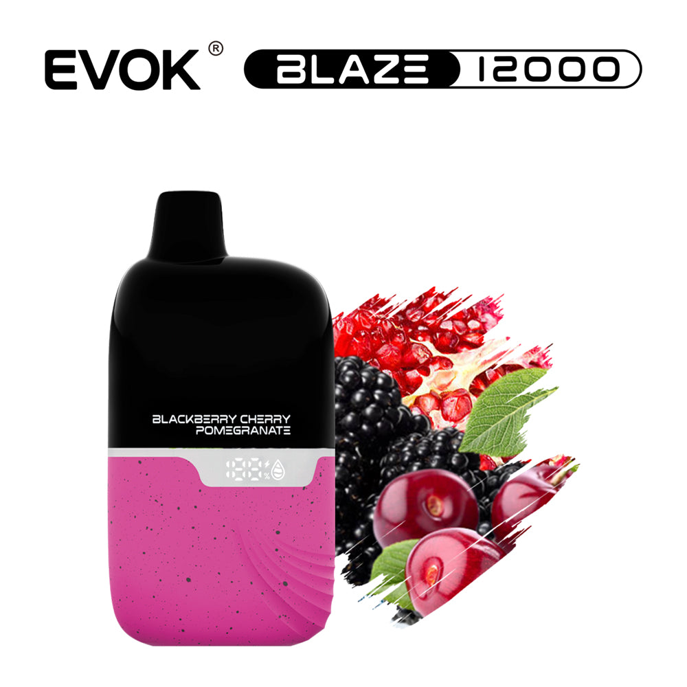 BLACKBERRY CHERRY POMEGRANATE - EVOK BLAZE 12,000
