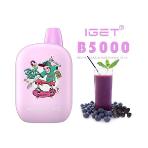 BLUEBERRY RAZZ – IGET B5000 - Vape Plug