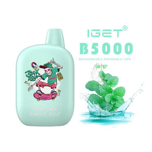 MOUNTAIN SPRING MINT – IGET B5000 - Vape Plug